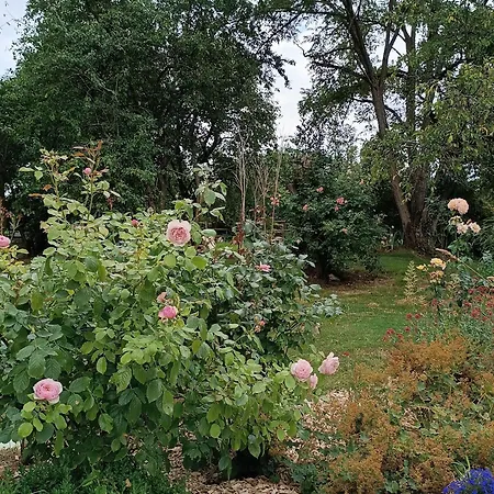 Landhaus En Normandie Avec Jardin Et Activites A Sensations